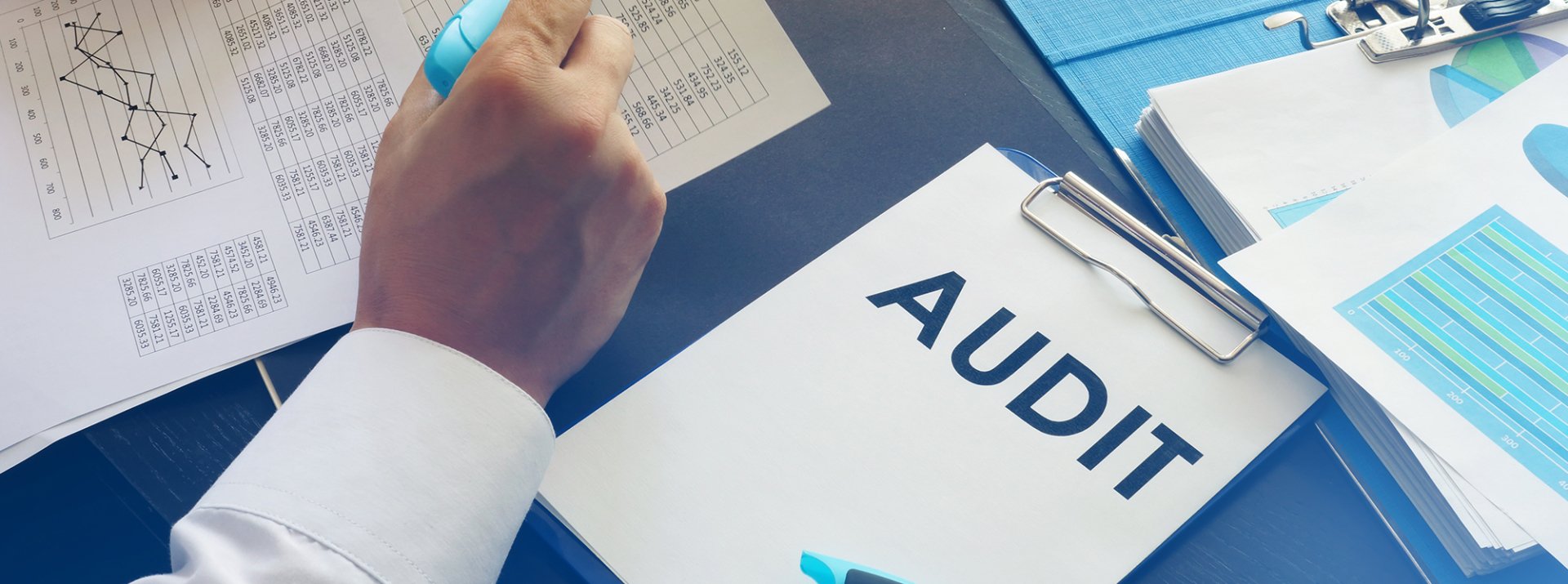 Tax data - audit and legal issues.